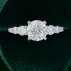 White Gold Round Cut Moissanite Engagement Ring with Gradient Side Stones (3)
