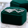 Snowdrift Round Cut Moissanite Cluster Engagement Ring Set Bold Symmetrical Accents (3)